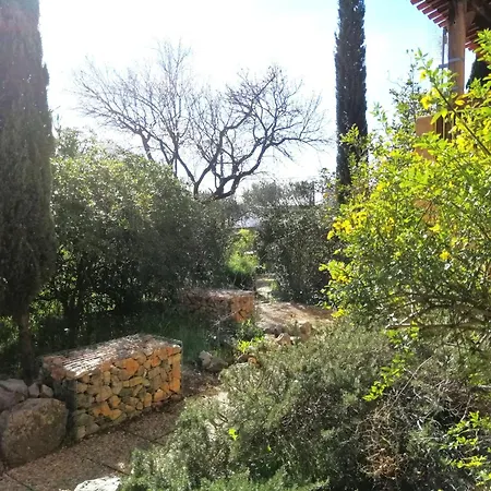 T2 36 M2, Rdc De Villa, Clim, Gd Jardin Clos, Animx Ok, Quartier Mt Faron Très Calme, Wifi, Parking * Toulon