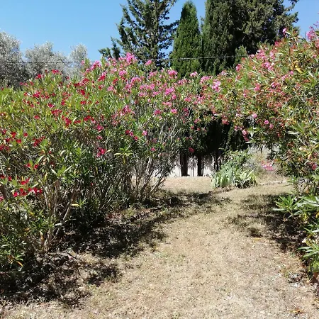 Appartamento T2 36 M2, Rdc De Villa, Clim, Gd Jardin Clos, Animx Ok, Quartier Mt Faron Très Calme, Wifi, Parking